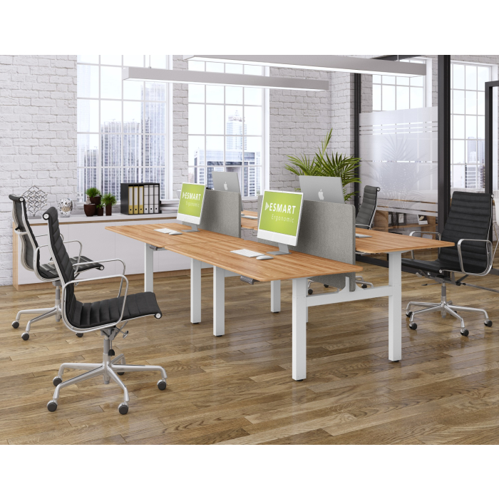 ESMART ETX-221WM Elektrisch höhenverstellbarer Doppel-Schreibtisch 160 x 80 cm Ahorn Dekor