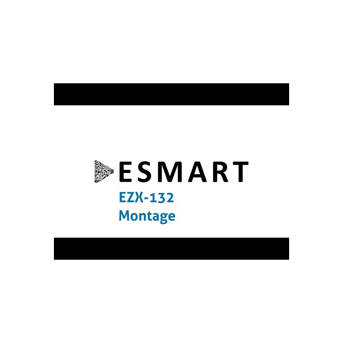 ESMART EZX-132BBA Elektrischer Schreibtisch 140 x 70 cm (Bambus Dekor)