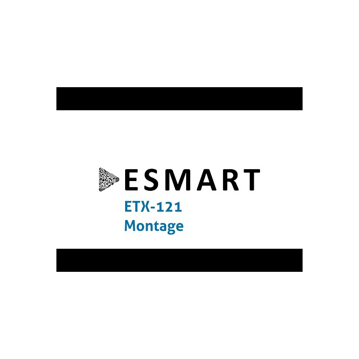 ESMART ETX-121BBA Elektrischer Schreibtisch 160 x 80 cm (Bambus Dekor)