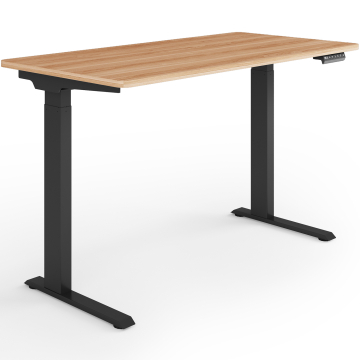 ESMART ESX-121BM Elektrisch höhenverstellbarer Schreibtisch Quick Installation ESMART ESX-121BM Elektrisch höhenverstellbarer Schreibtisch Quick Installation