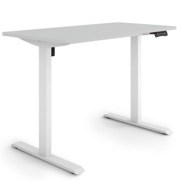 ESMART ETX-121WG Elektrischer Schreibtisch 120 x 60 cm (Hellgrau)