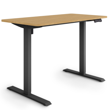 ESMART ETX-121BBA Elektrischer Schreibtisch 120 x 60 cm (Bambus Dekor)