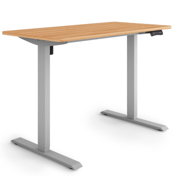 ESMART ETX-121GM Elektrischer Schreibtisch 120 x 60 cm (Ahorn Dekor)