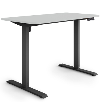 ESMART ETX-121BG Elektrischer Schreibtisch 120 x 60 cm (Hellgrau)
