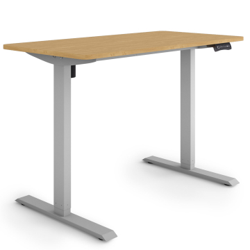 ESMART ETX-121GBA Elektrischer Schreibtisch 120 x 60 cm (Bambus Dekor)