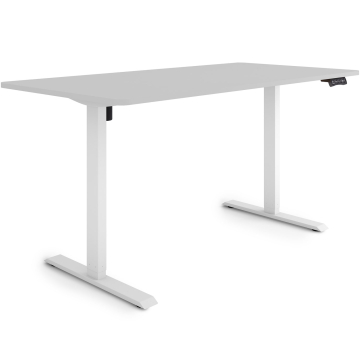 ESMART ETX-121WG Elektrischer Schreibtisch 160 x 80 cm (Hellgrau)