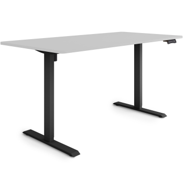 ESMART ETX-121BG Elektrischer Schreibtisch 160 x 80 cm (Hellgrau)