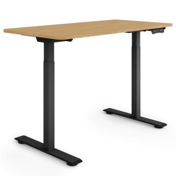 ESMART ERX-122BBA Elektrischer Schreibtisch 120 x 60 cm (Bambus Dekor) ESMART ERX-122BBA Elektrischer Schreibtisch 120 x 60 cm (Bambus Dekor)