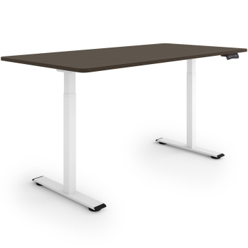 ESMART ERX-122WE Elektrischer Schreibtisch 160 x 80 cm (Ebenholz Dekor)
