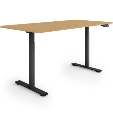 ESMART ERX-122BBA Elektrischer Schreibtisch 160 x 80 cm (Bambus Dekor) ESMART ERX-122BBA Elektrischer Schreibtisch 160 x 80 cm (Bambus Dekor)