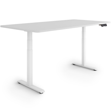 ESMART EZX-132WG Elektrischer Schreibtisch 160 x 80 cm (Hellgrau)