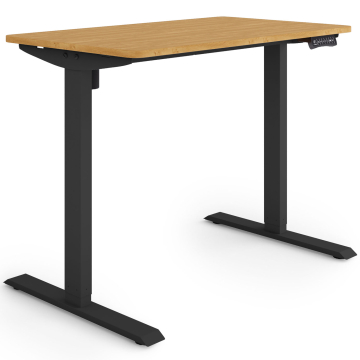 ESMART ETX-121BBA Elektrischer Schreibtisch 100 x 60 cm (Bambus Dekor)