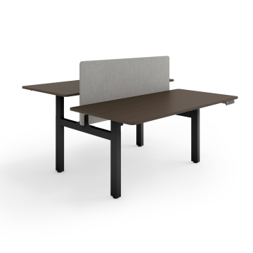ESMART ETX-221BE Elektrisch höhenverstellbarer Doppel-Schreibtisch 160 x 80 cm Ebenholz Dekor